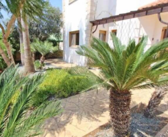 Sunrise Villa Айя-Напа Екстер'єр фото